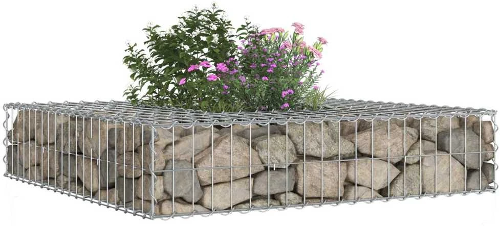 Gabioninė pakelta lova 100 x 100 x 20 cm Cinkuota plienas