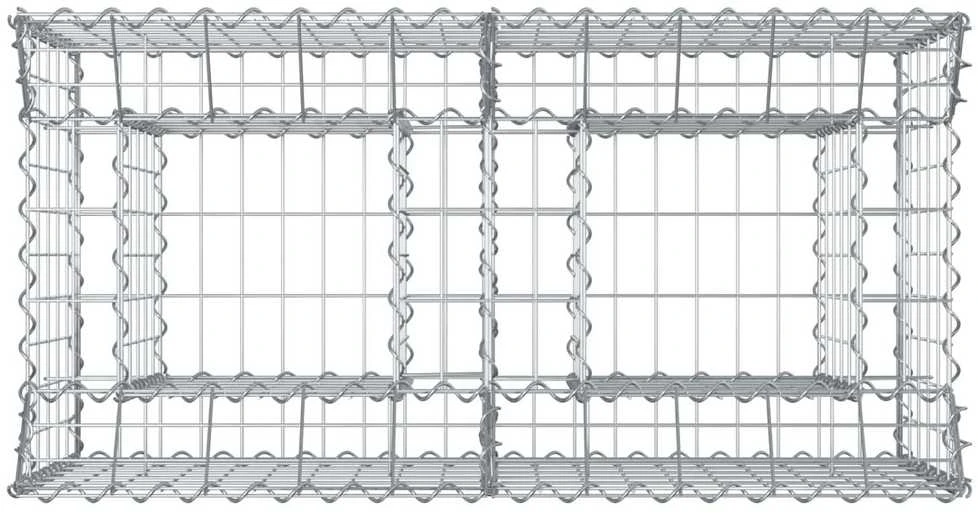 Gabioninė pakelta lova 100 x 50 x 60 cm Galvanizuotas plienas