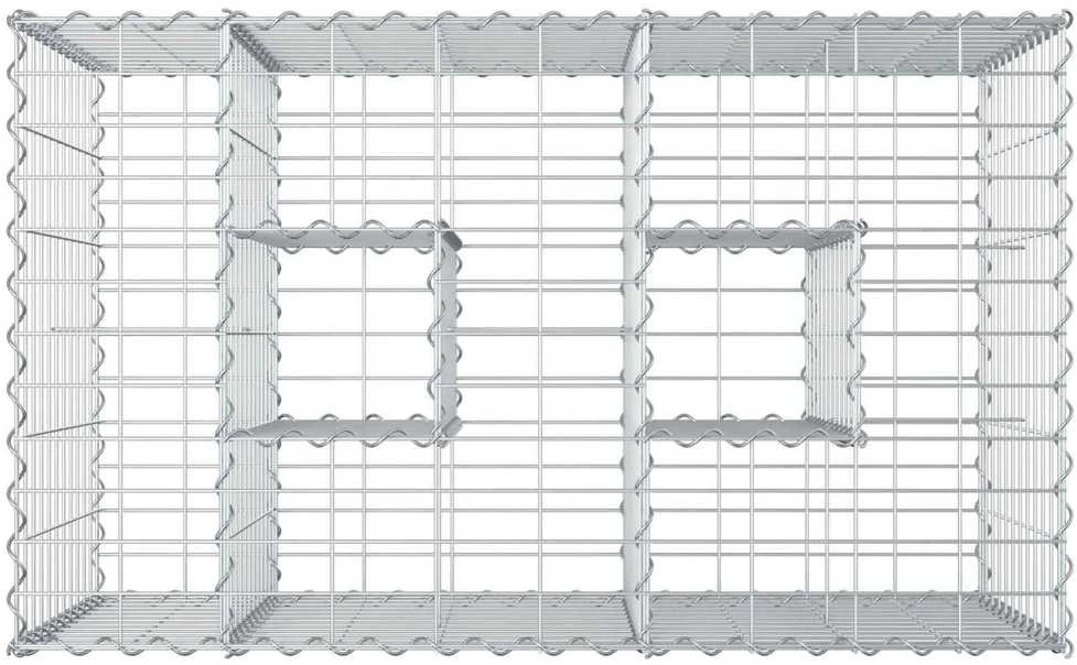 Gabioninė pakelta lova 100 x 60 x 55 cm Galvanizuotas plienas