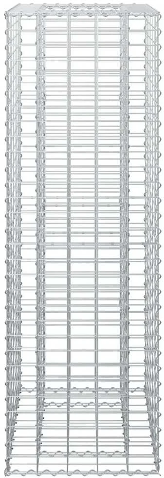 Gabioninė pakelta lova 50 x 50 x 150 cm Galvanizuotas plienas