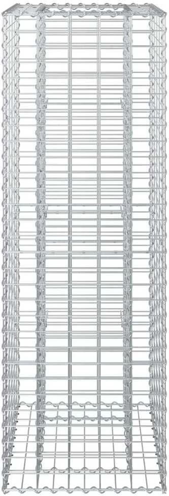 Gabioninė pakelta lova 50 x 50 x 150 cm Galvanizuotas plienas
