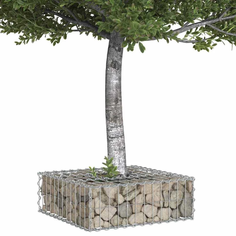 Gabioninė pakelta lova 60 x 60 x 20 cm Cinkuota plienas Sidabro