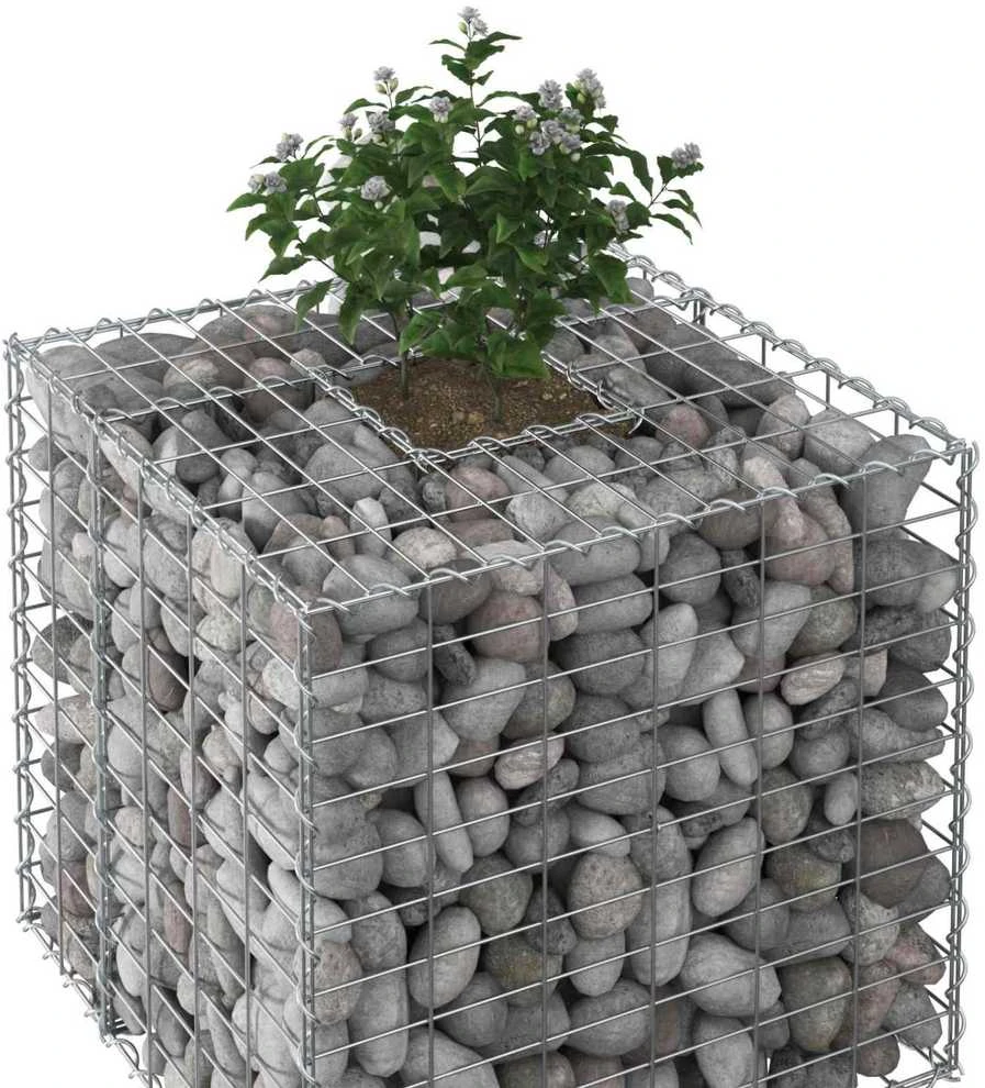 Gabioninė pakelta lova 60 x 60 x 55 cm Galvanizuotas plienas