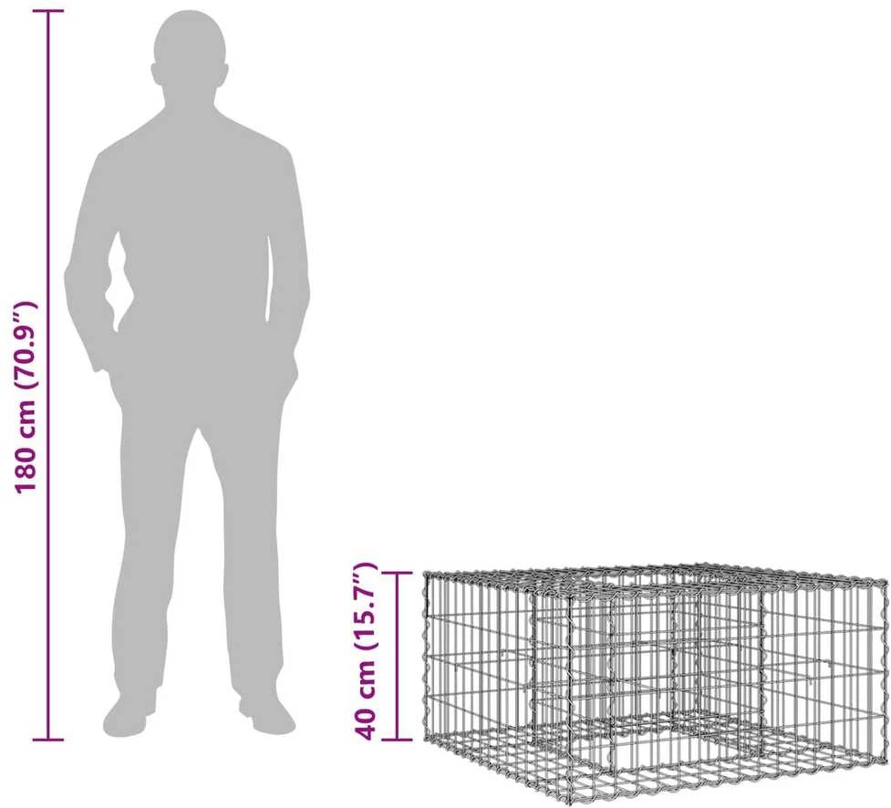 Gabioninė pakelta lova 80 x 80 x 40 cm Cinkuota plienas Sidabro