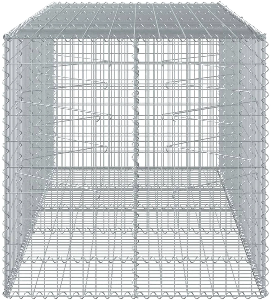 Gabiono krepšys su dangčiu, 250x100x100cm, galvanizuota geležis