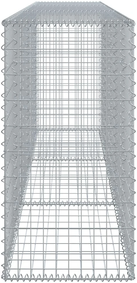 Gabiono krepšys su dangčiu, 300x50x100cm, galvanizuota geležis
