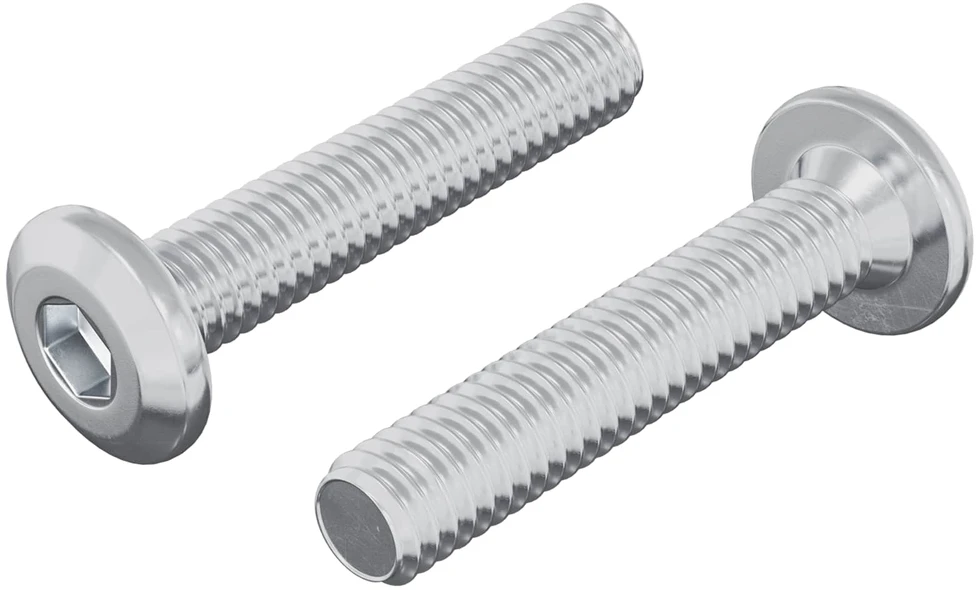 Galvos užrakto varžtas 2 vnt. Sidabro M6 x 30 mm Plienas