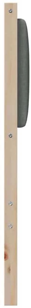 Galvūgalis Ruda Pušies masyvas