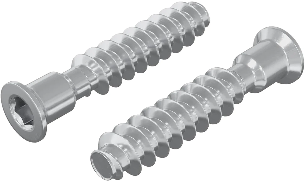 Galvutės varžtas 2 vnt. Sidabrinė M7 x 40 mm Plienas