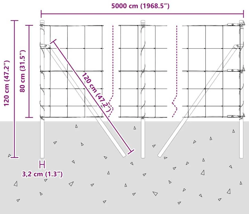 Pagrindo Suvirintas Vielos Tvora 50 x 0,8 m Sidabrinė Tinklelis