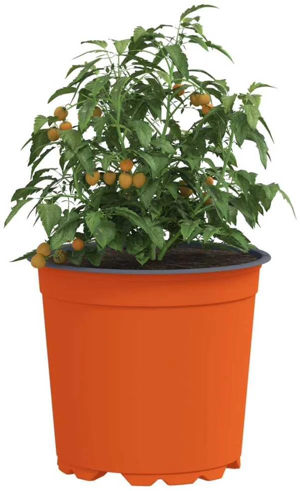 Apvalus gėlių vazonas 100 vnt. Terakotos Ø 15 x 13 cm Plastmasė