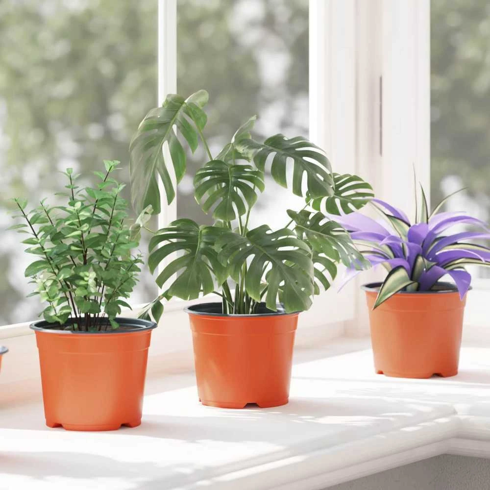 Apvalus gėlių vazonas 200 vnt. Terakotos Ø 10 x 8 cm Plastmasė