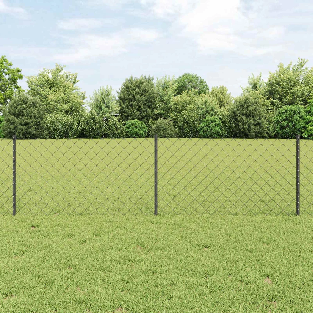 Grandininės tvoros su stulpeliu 25 x 0,6 m PVC dengtas plienas