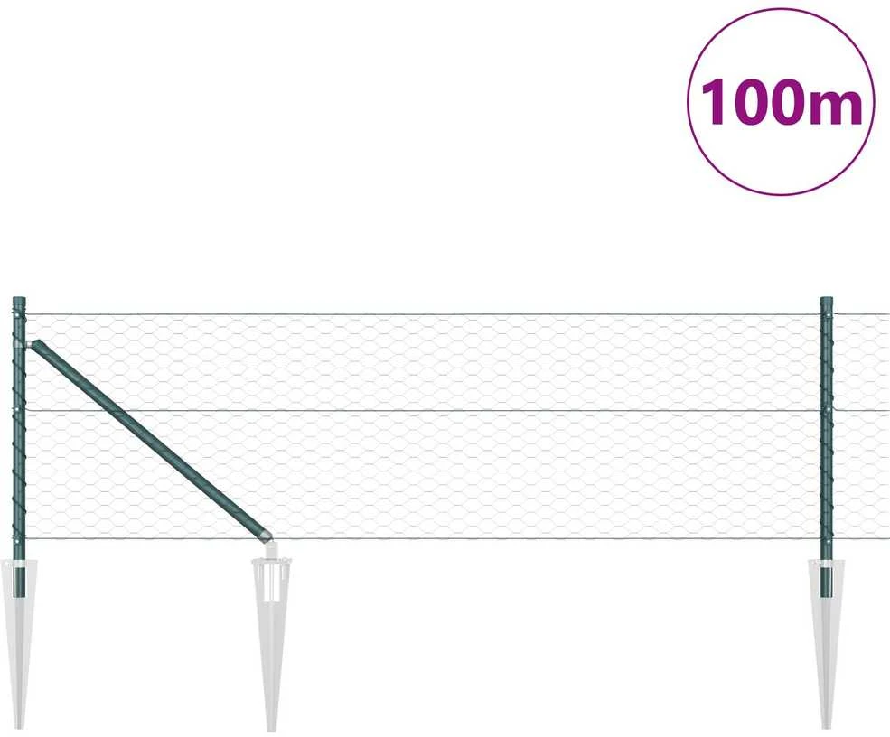 Hexagonal Fence with Post 100 x 0,6 m PVC dengtas plienas Žalia