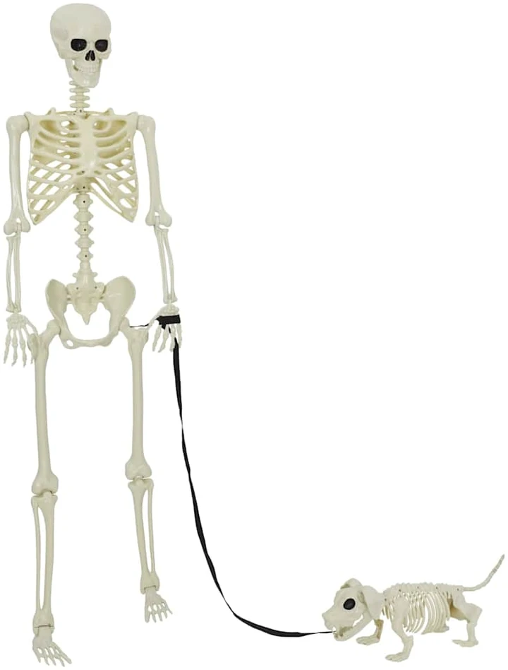 Helovino puošmena -skeletas 2 vnt. Balta 155 x 38.5 cm