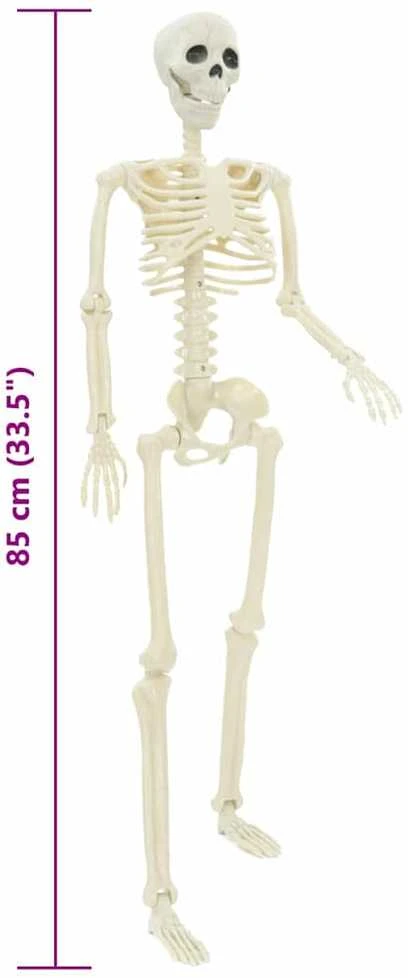 Helovino skeletas 2 vnt. Balta 85 cm PVC