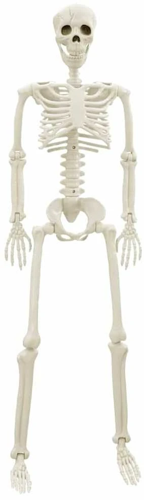 Helovino skeletas 2 vnt. Balta 85 cm PVC