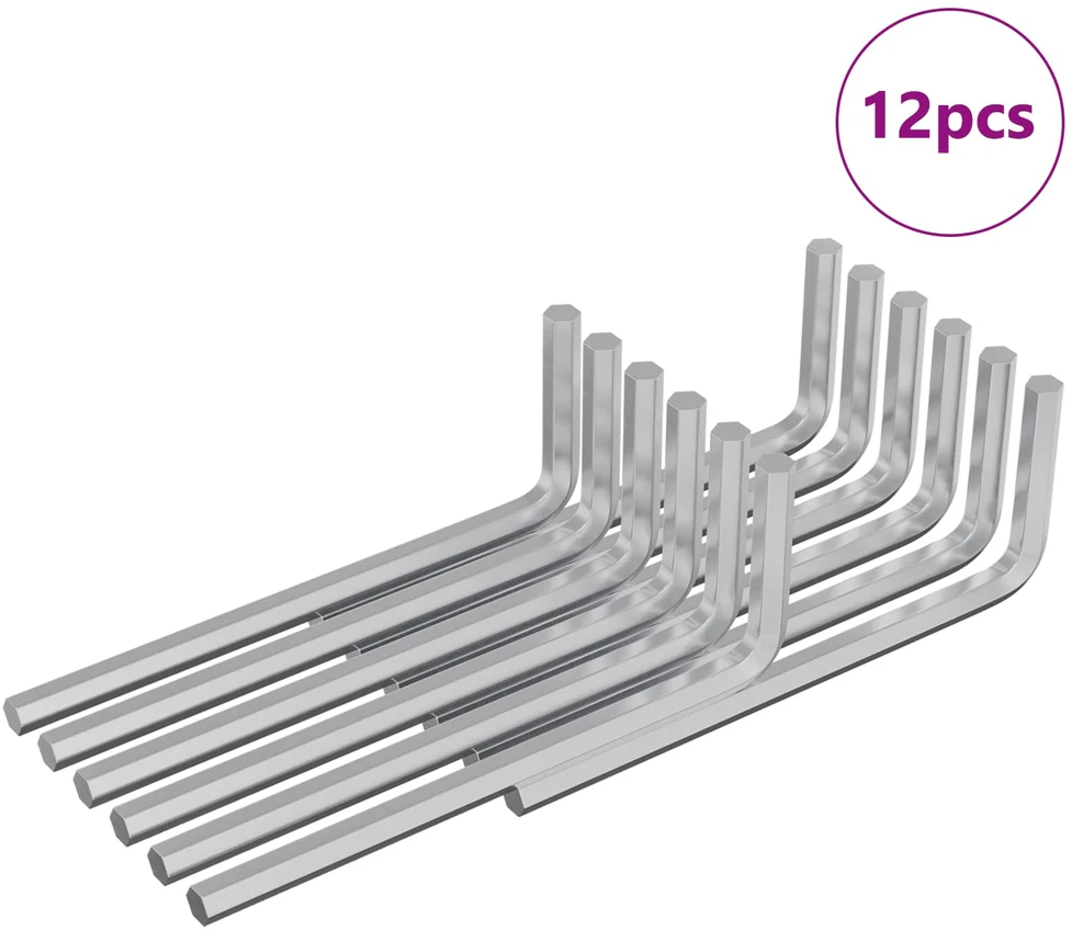 Hex rakto 12 vnt. Sidabrinė 20 x 52 mm Plienas