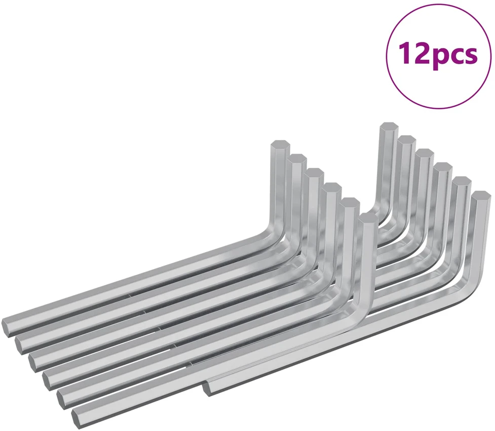 Hex rakto 12 vnt. Sidabrinė 22 x 66 mm Plienas