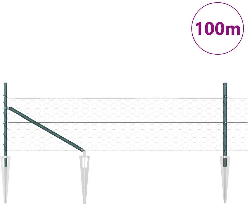 Hexagonal Fence with Post 100 x 0,5 m PVC dengtas plienas Žalia
