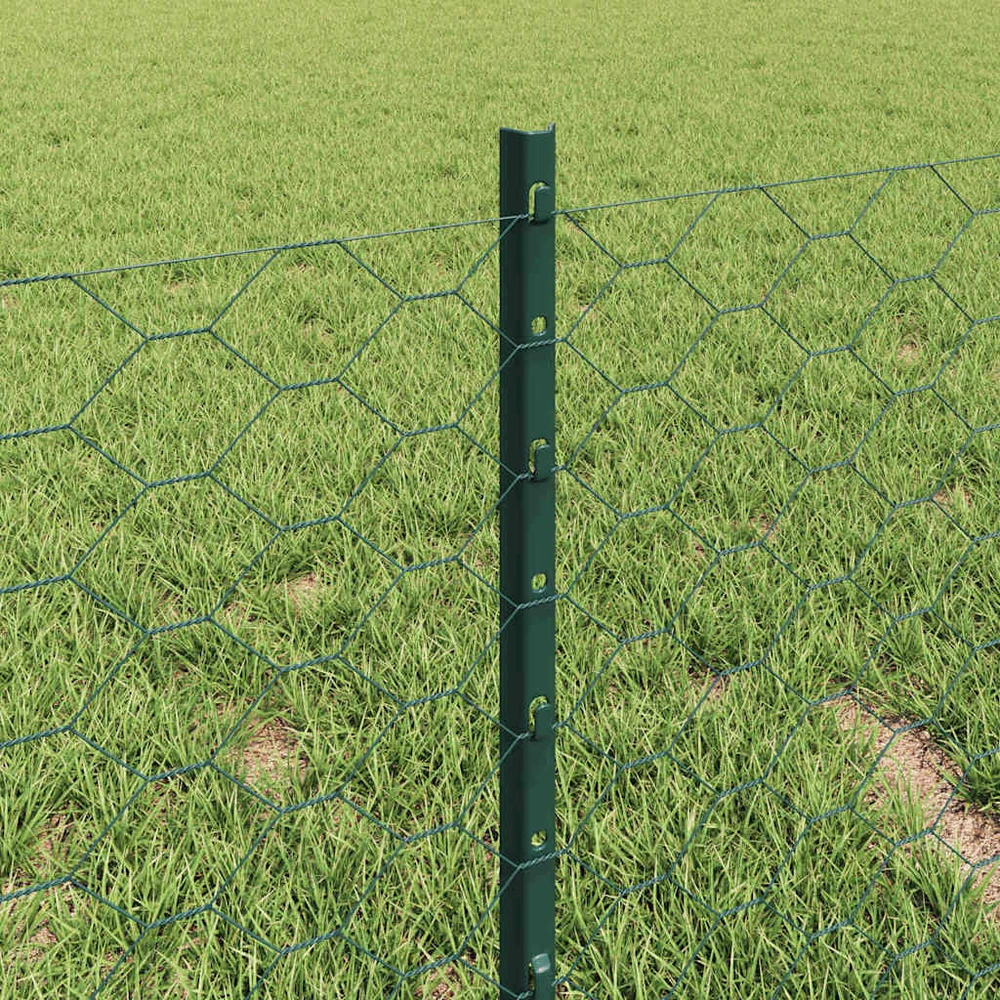 Hexagonal Fence with Post 10 x 0,4 m PVC dengtas plienas Žalia