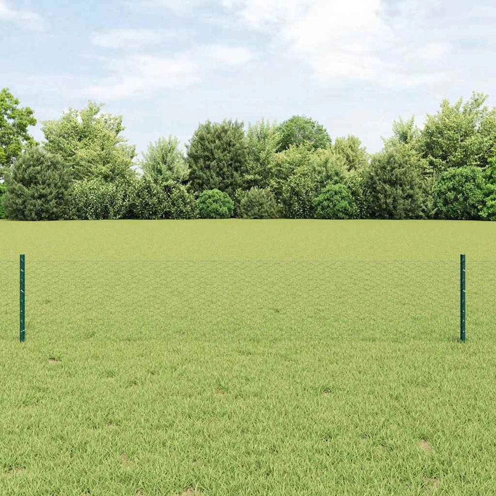 Hexagonal Fence with Post 10 x 0,4 m PVC dengtas plienas Žalia