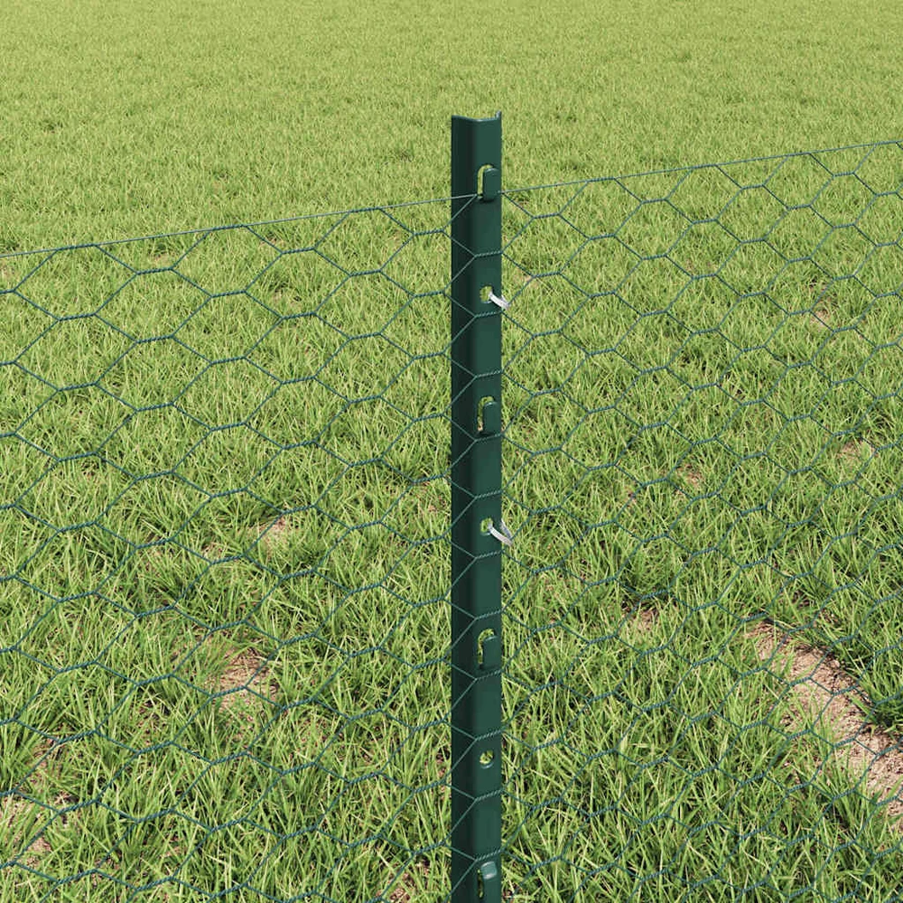 Hexagonal Fence with Post 10 x 0,4 m PVC dengtas plienas Žalia