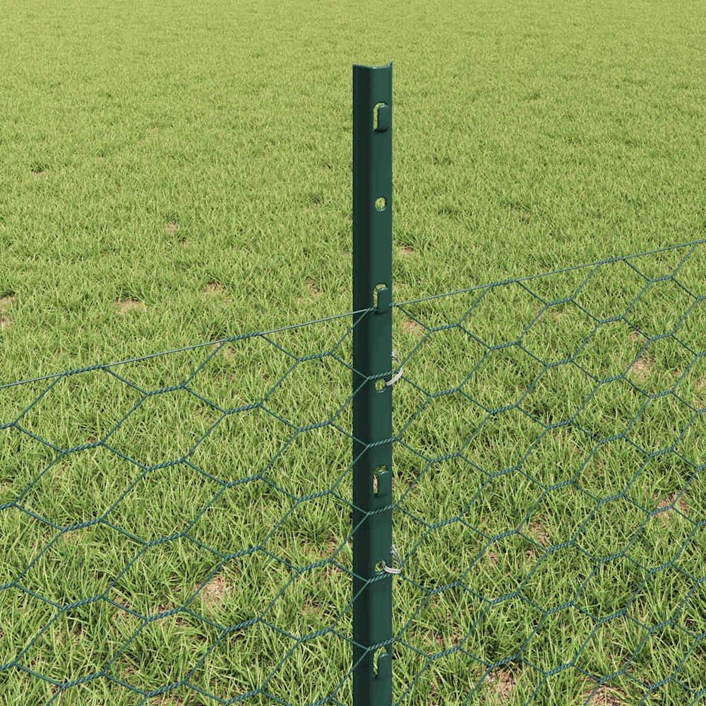 Hexagonal Fence with Post 10 x 0,5 m PVC dengtas plienas Žalia
