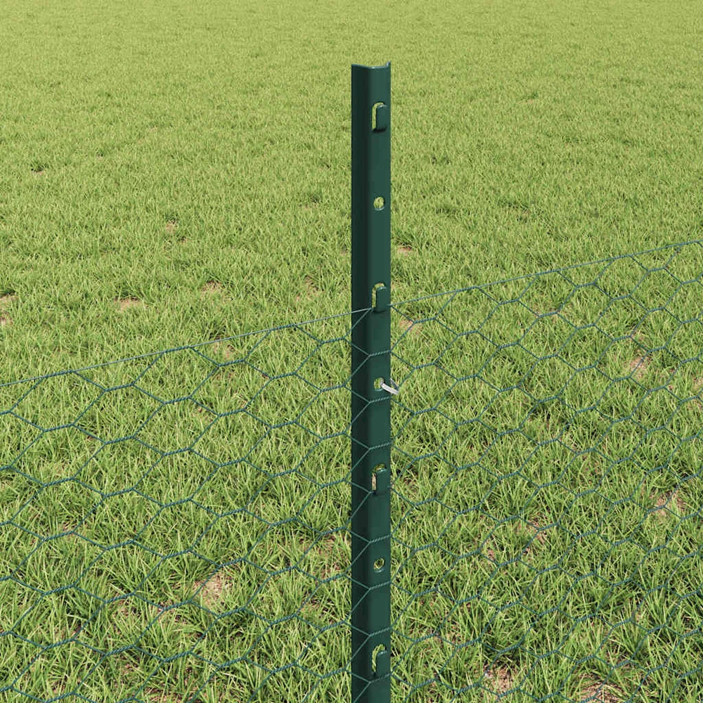 Hexagonal Fence with Post 10 x 0,5 m PVC dengtas plienas Žalia