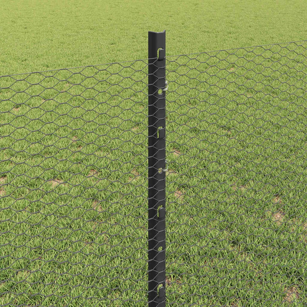 Hexagonal Fence with Post 10 x 0,8 m PVC dengtas plienas Pilka