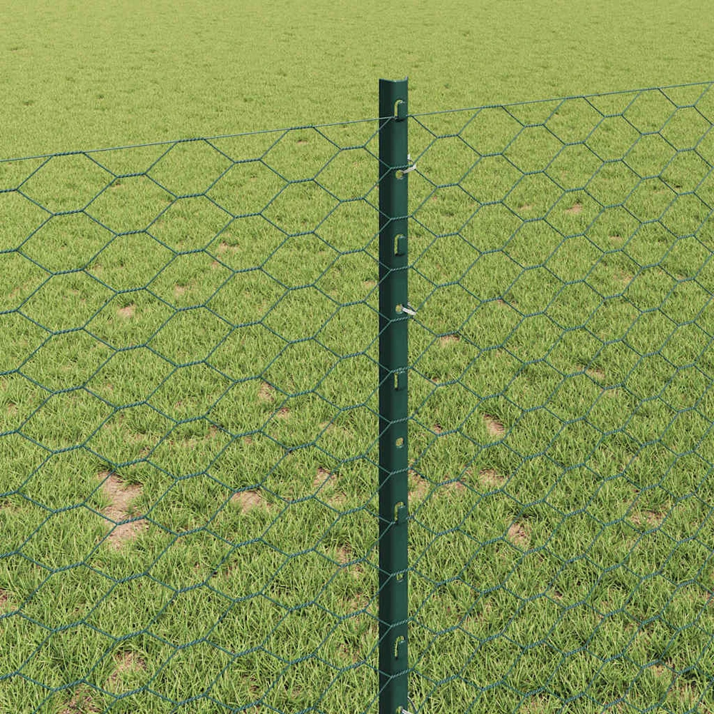 Hexagonal Fence with Post 10 x 1 m PVC dengtas plienas Žalia