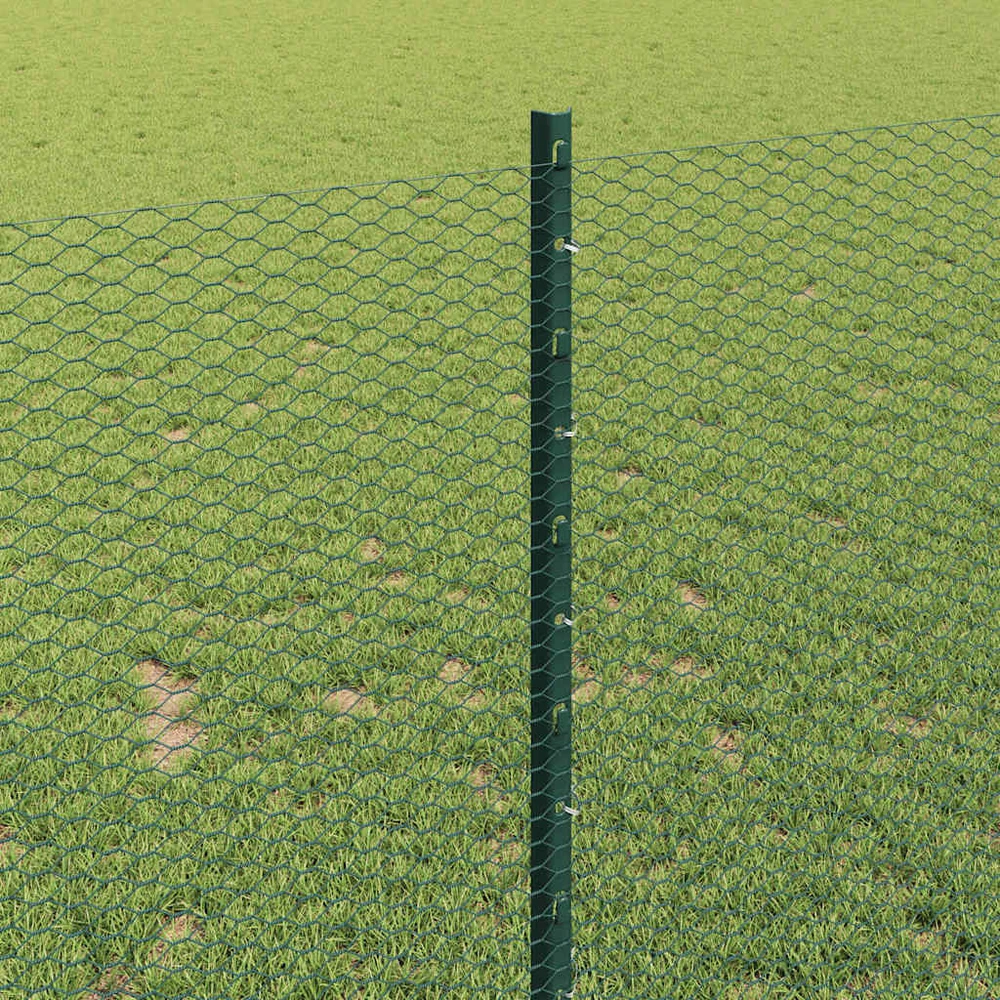 Hexagonal Fence with Post 10 x 1 m PVC dengtas plienas Žalia