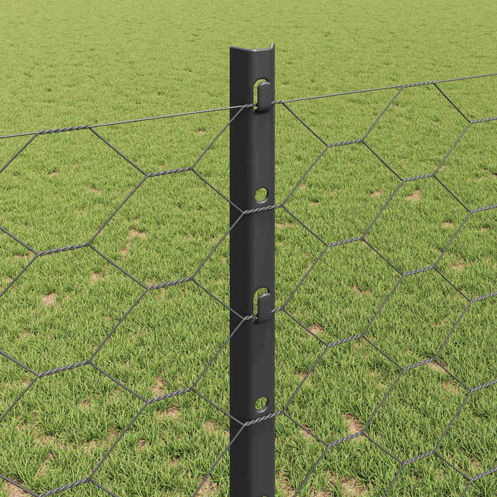 Hexagonal Fence with Post 10 x 1,2 m PVC dengtas plienas Pilka