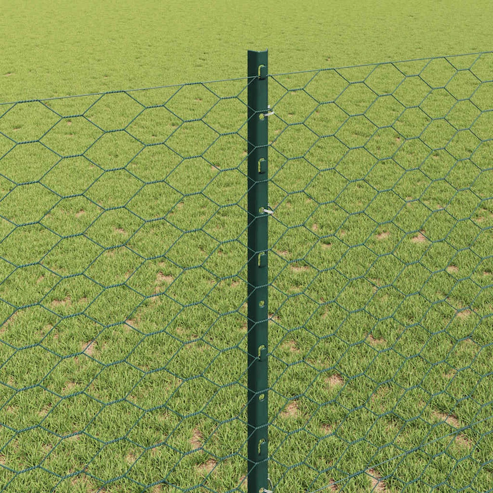 Hexagonal Fence with Post 10 x 1,4 m PVC dengtas plienas Žalia