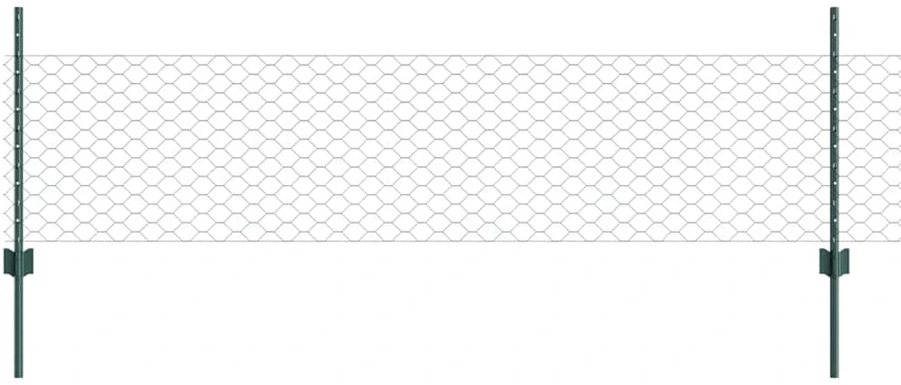 Hexagonal Fence with Post 100 x 0,5 m PVC dengtas plienas Žalia