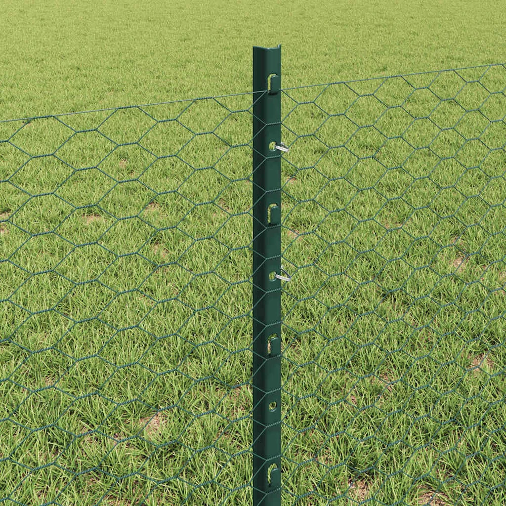 Hexagonal Fence with Post 100 x 0,6 m PVC dengtas plienas Žalia