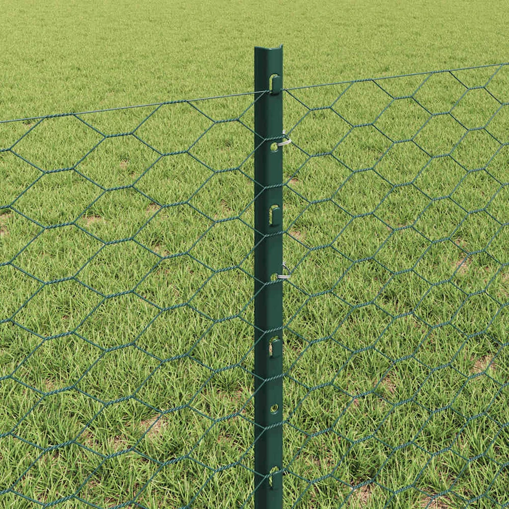 Hexagonal Fence with Post 100 x 0,6 m PVC dengtas plienas Žalia