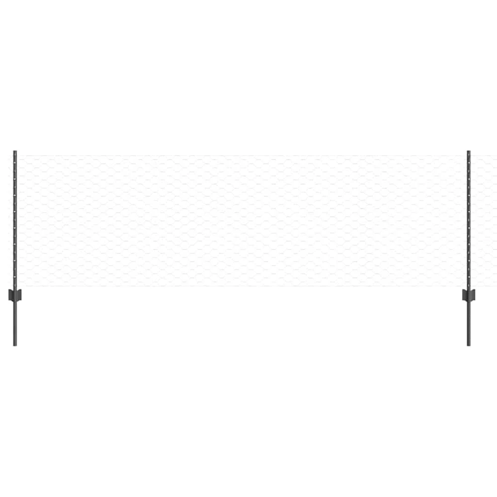 Hexagonal Fence with Post 100 x 0,8 m PVC dengtas plienas Pilka