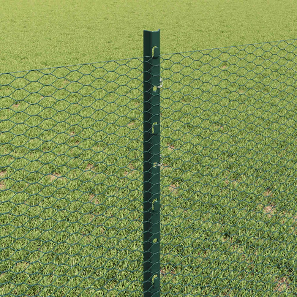 Hexagonal Fence with Post 100 x 0,8 m PVC dengtas plienas Žalia