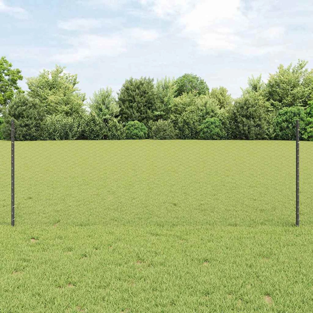 Hexagonal Fence with Post 100 x 0,8 m PVC dengtas plienas Pilka