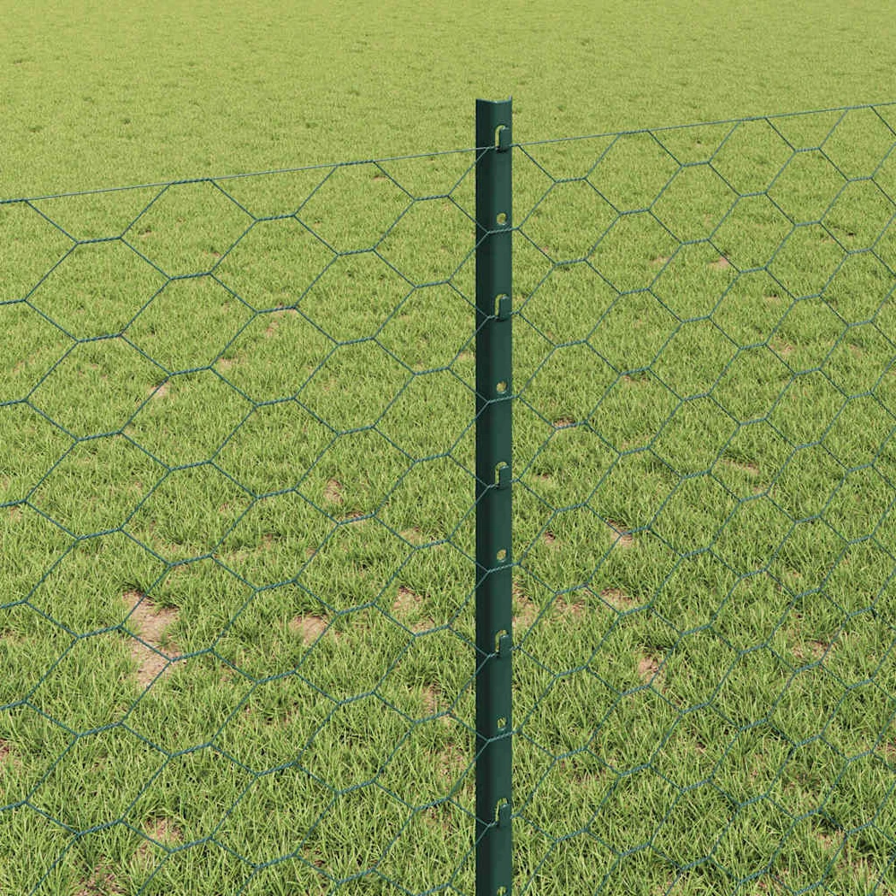 Hexagonal Fence with Post 100 x 1 m PVC dengtas plienas Žalia