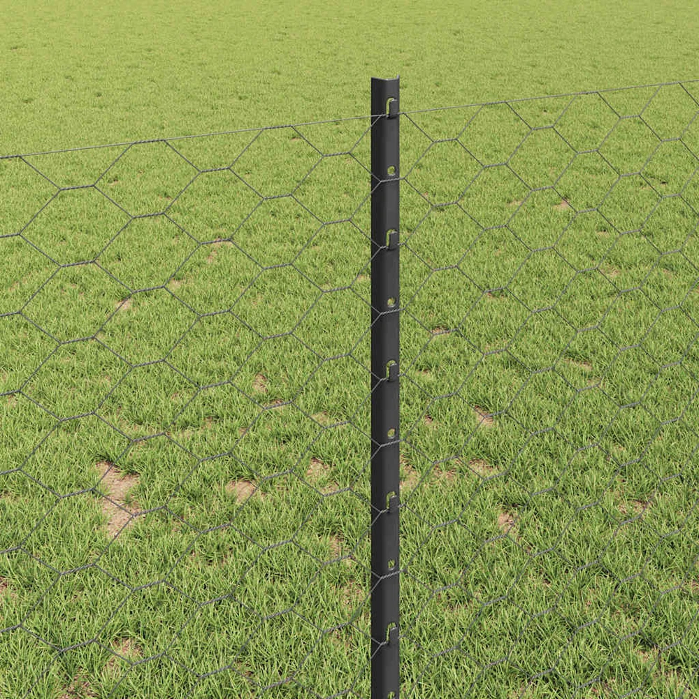 Hexagonal Fence with Post 100 x 1 m PVC dengtas plienas Pilka