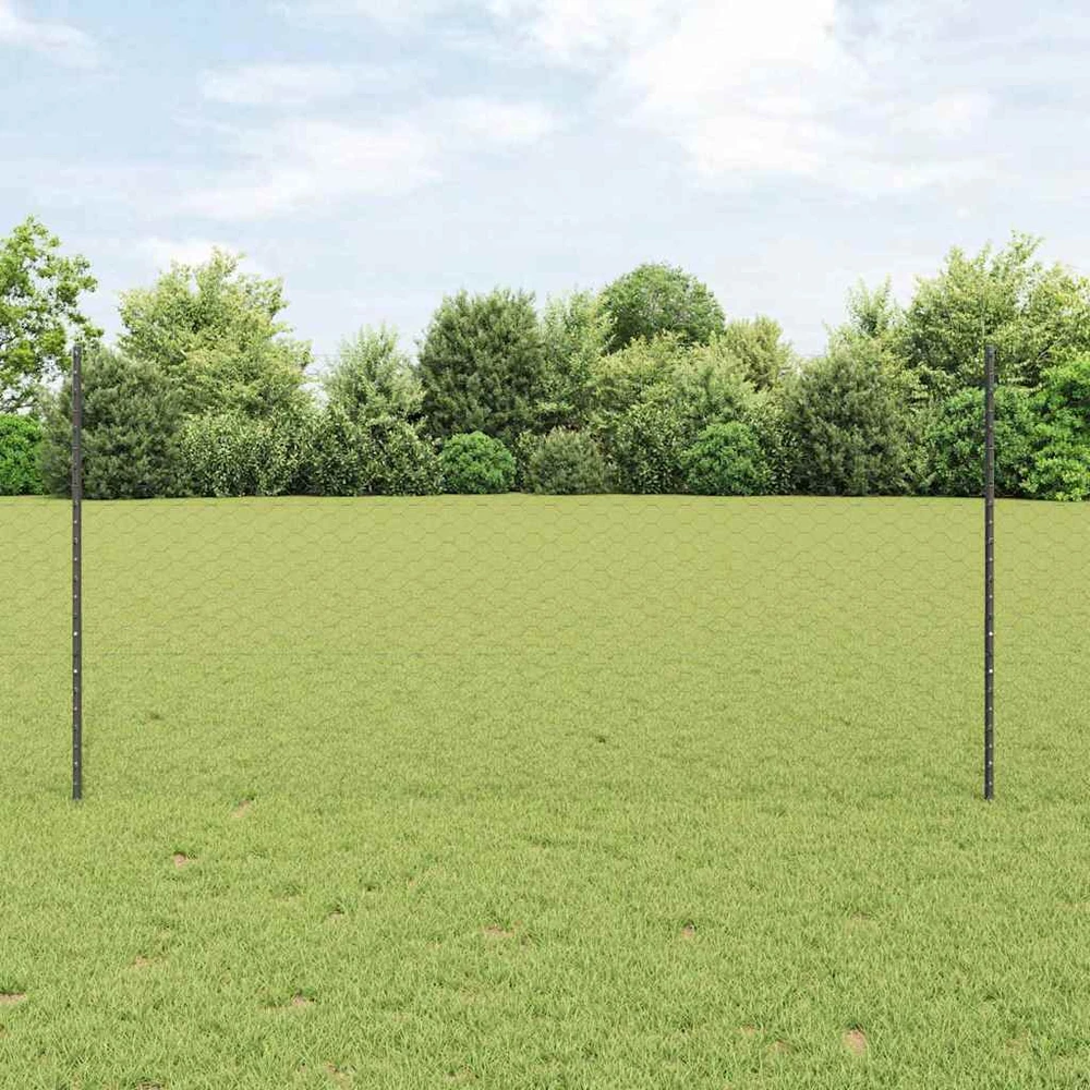 Hexagonal Fence with Post 100 x 1,2 m PVC dengtas plienas Pilka