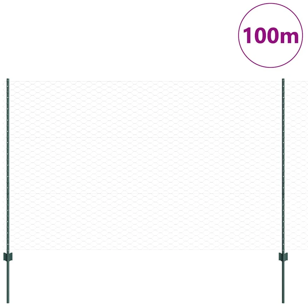 Hexagonal Fence with Post 100 x 1,6 m PVC dengtas plienas Žalia