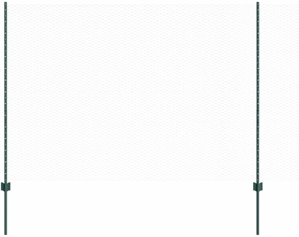 Hexagonal Fence with Post 100 x 1,6 m PVC dengtas plienas Žalia