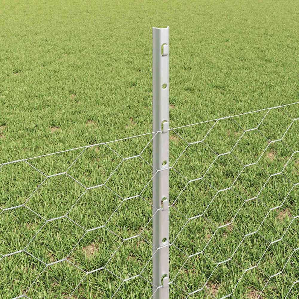 Hexagonal Fence with Post 25 x 0,5 m Galvanizuotas plienas
