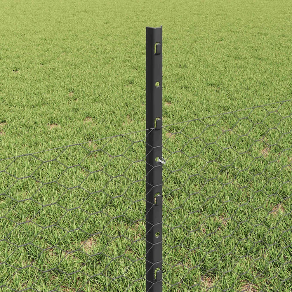 Hexagonal Fence with Post 25 x 0,5 m PVC dengtas plienas Pilka