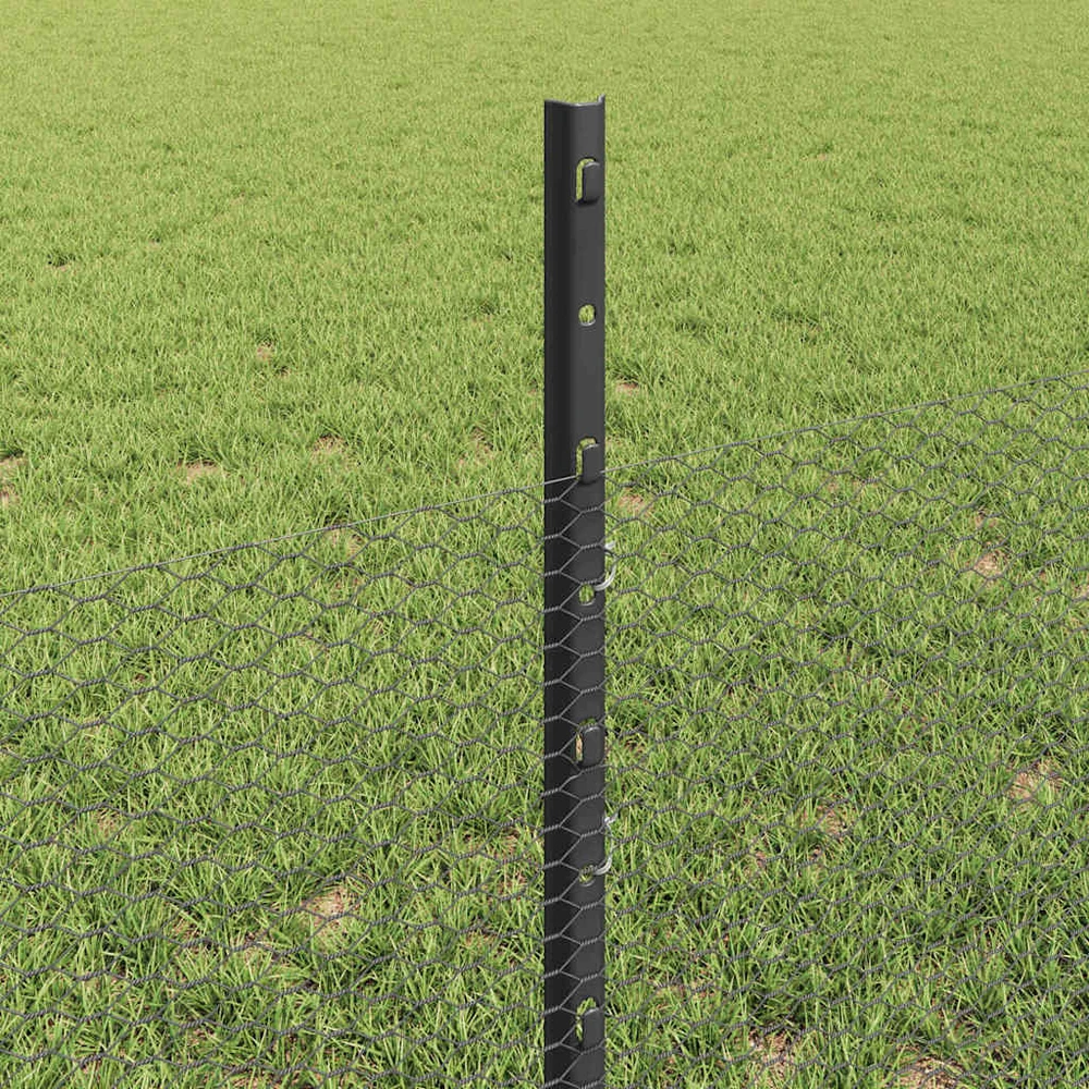 Hexagonal Fence with Post 25 x 0,5 m PVC dengtas plienas Pilka