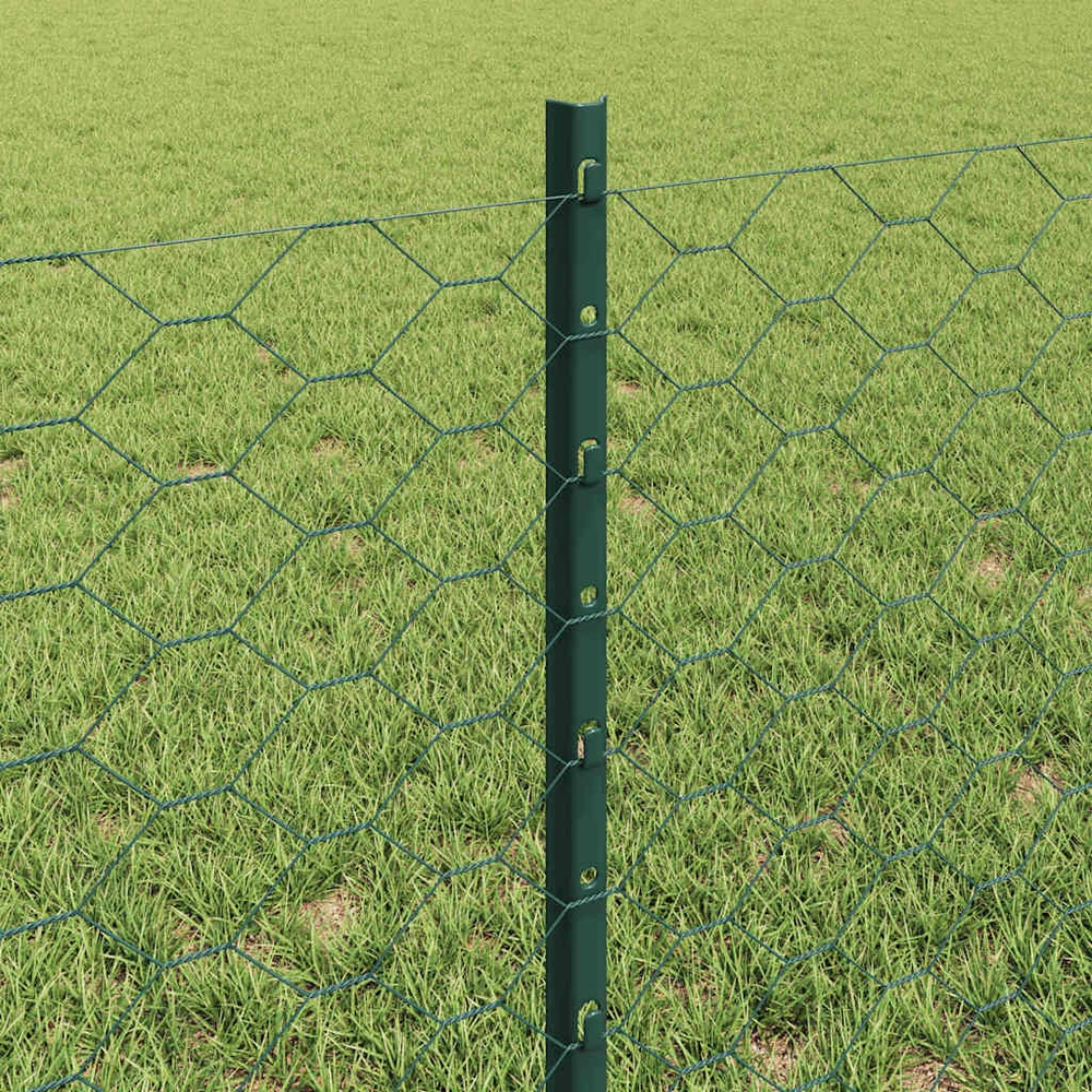 Hexagonal Fence with Post 25 x 0,6 m PVC dengtas plienas Žalia
