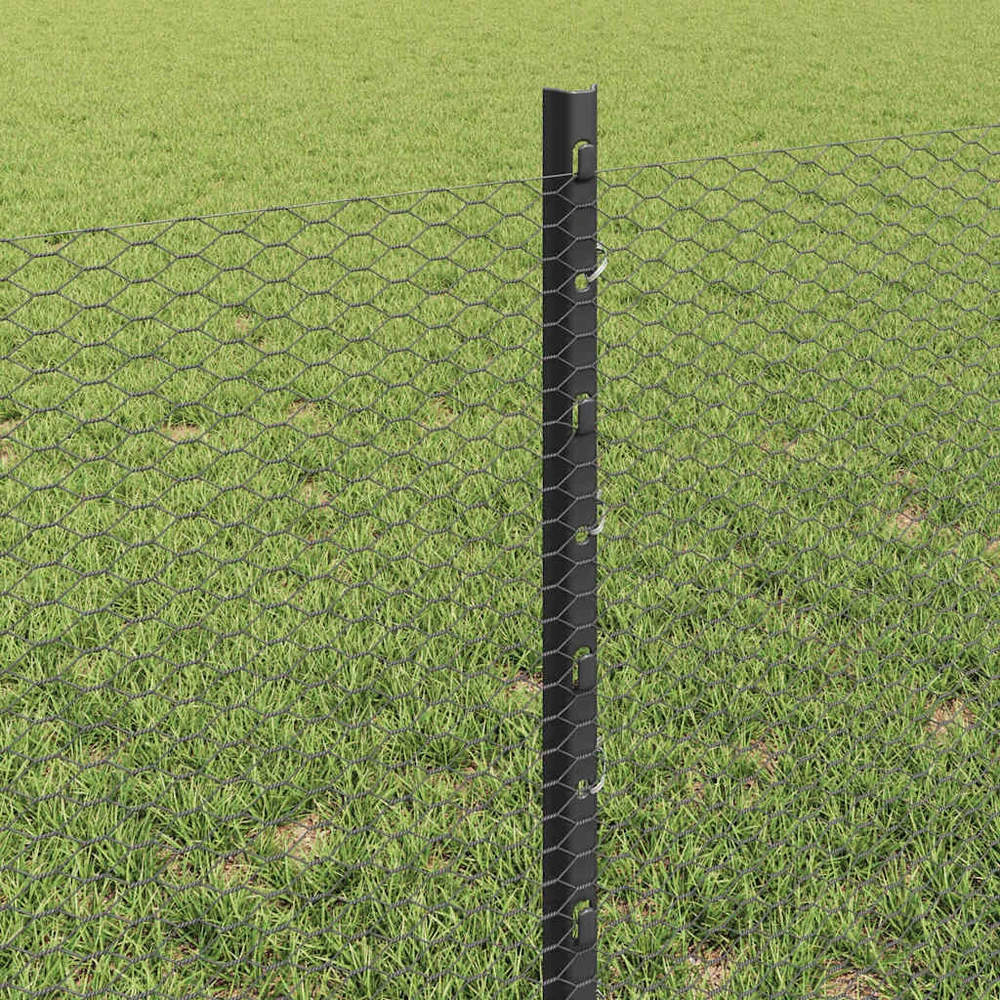 Hexagonal Fence with Post 25 x 0,6 m PVC dengtas plienas Pilka